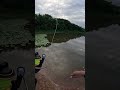 O peixe: "Hoje não, patrão!" 🤫😂