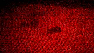 VID-20120321-00000.MP4