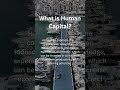 What is Human Capital?