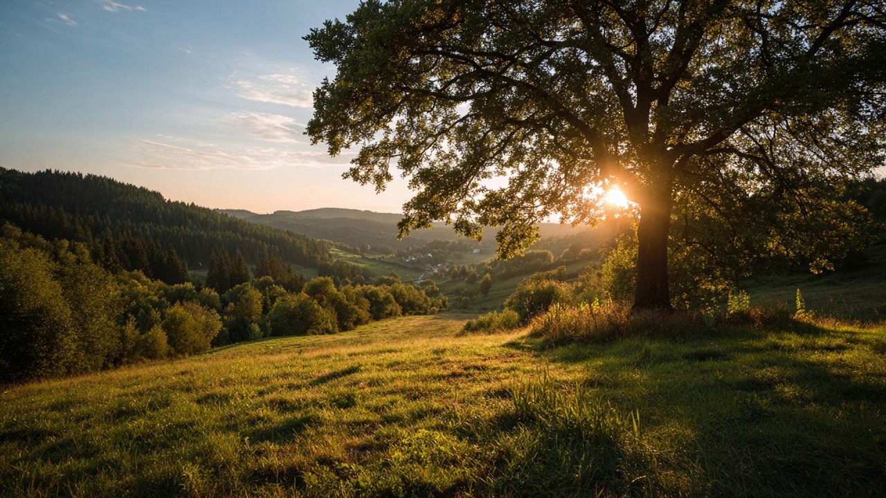 morning mood - a playlist to start your day 😺 ✨