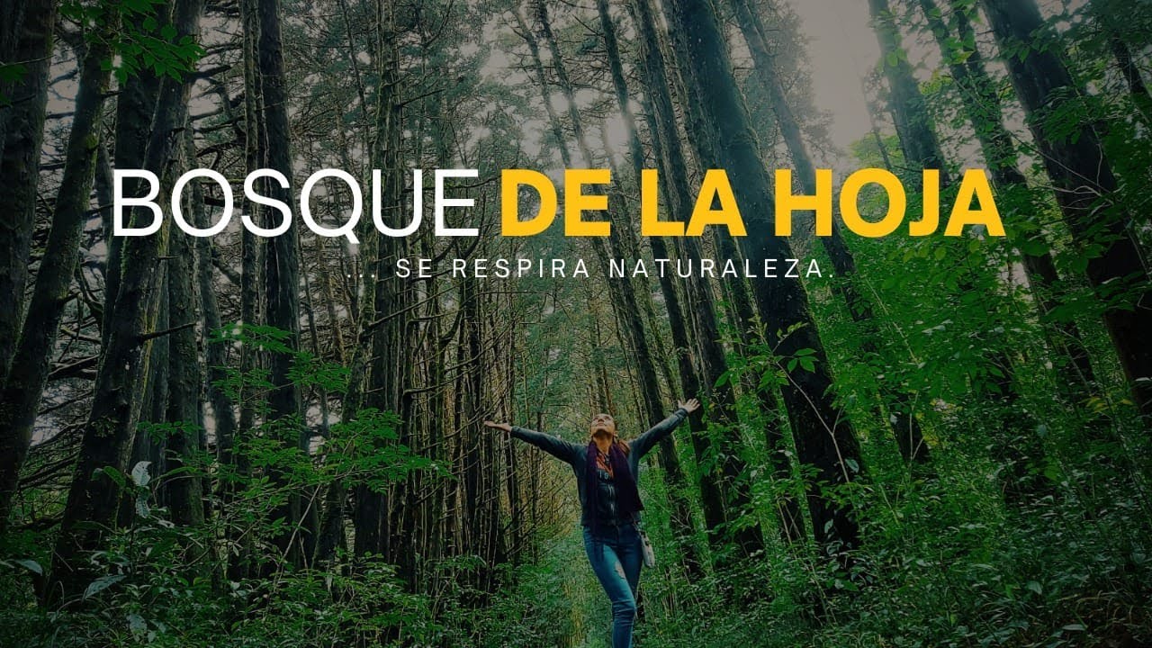 BOSQUE DE LA HOJA - San Rafael de Heredia