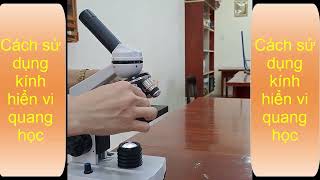 Cách sử dụng kính hiển vi quang học