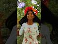 Happiness😊 #shorts #shortsfeed #flowers #nature #tiara #youtubeshorts