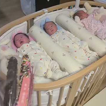 삼둥아 빼빼로 먹을사람 손~!!