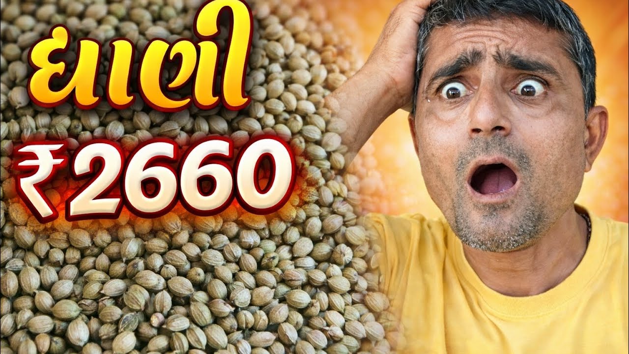 🔴LIVE...ધાણી ના ભાવ ઊંચા ગયા😱 | જુઓ શું રહ્યા આજના બજારભાવ #બજારભાવ #jamjodhpuryard 