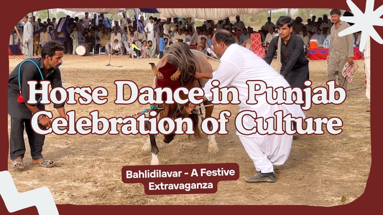 Horse Dance in Pakistan | horse dance in punjab | horse dance chunni me beautiful super duper