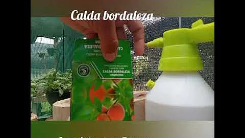 Como diluir calda bordalesa?
