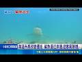 美鯊魚狂追1.6公里 衝浪客逃命海上驚魂曝 美長島咬傷創新高! 專家警告鯊魚活動更近海岸｜記者 鄧崴｜國際焦點20260501｜三立新聞台