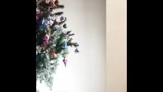 Mauliate ma diho...The Boys Trio Vol. 3