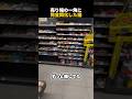 売り場の一角に完全同化した猫