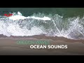 4K Oregon Waves Ocean Sounds for Deep Sleep