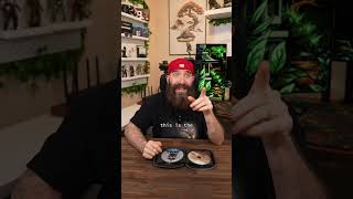 Physical Video Games are DEAD! #pc #gaming #console #sony