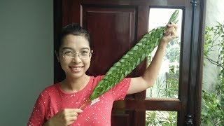 CÁCH ĐAN LÁ DỪA ĐƠN GIẢN ĐẸP | DIY with coconut leaves SIMPLE