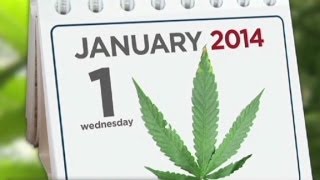 Colorado marijuana business: We're the Amsterdam of ...