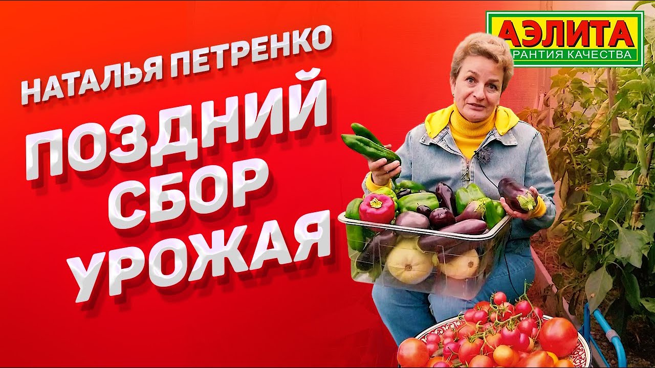 Наталья Петренко Новые Видео 2022 Года