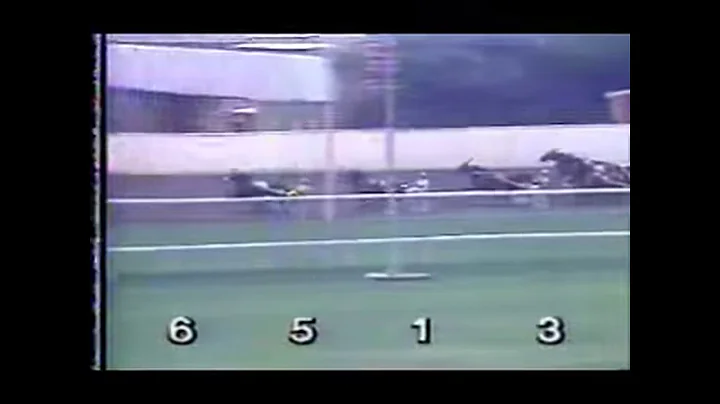 1991 Meadowlands Racetrack - Catello Manzi (WALTON...