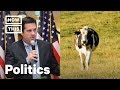 Rep  Devin Nunes Sues Twitter Over Mean Cow | NowThis