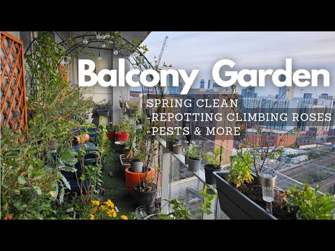 Balcony Garden Spring Clean