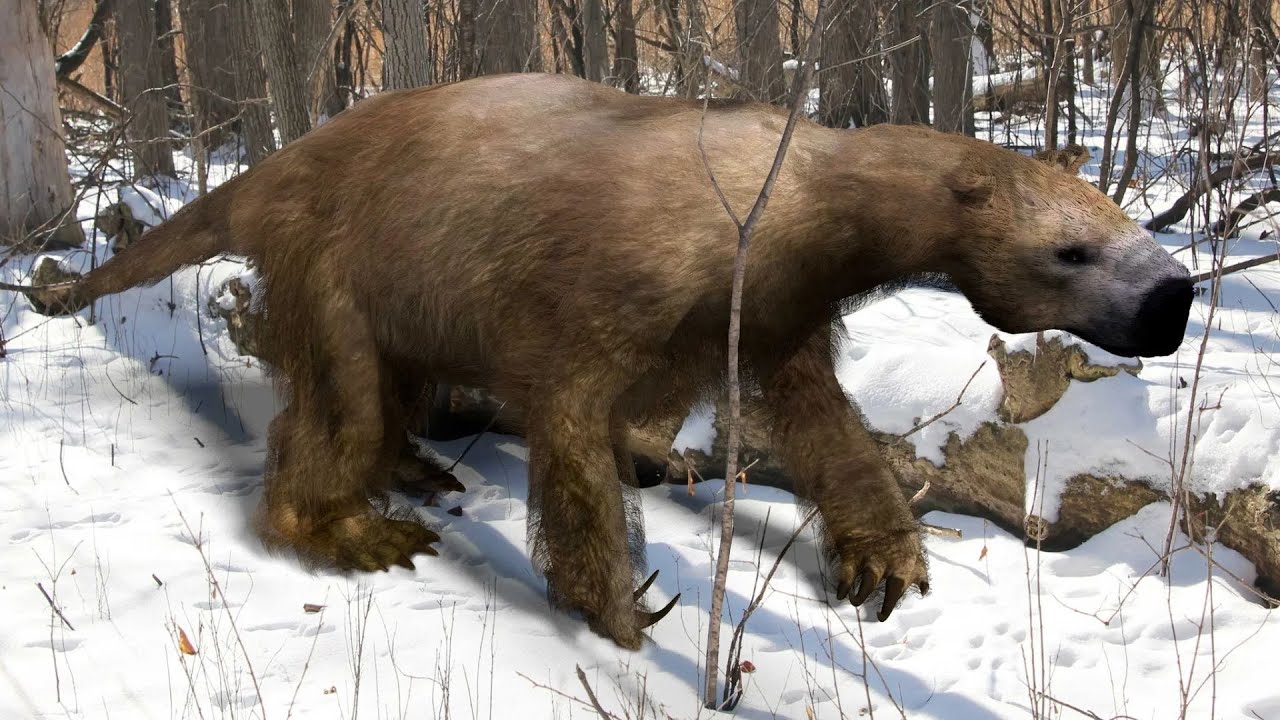 6 Prehistoric Creatures Found Frozen in Ice of 2025 - YouTube