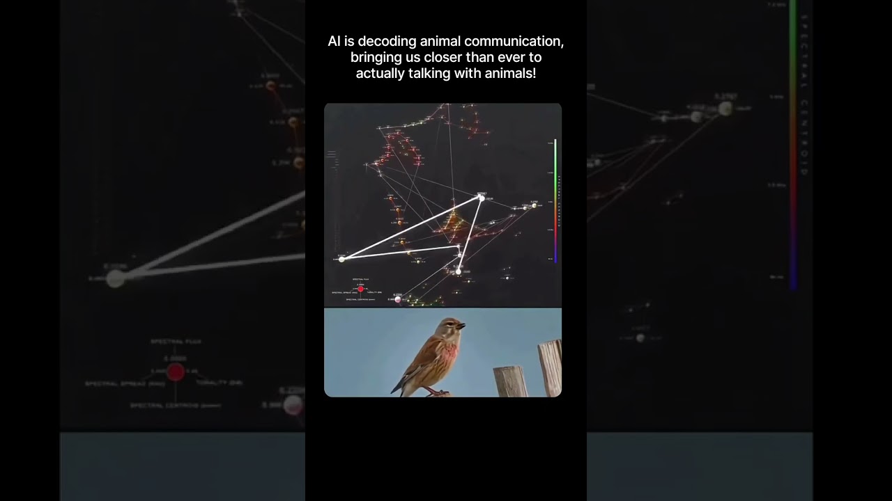 AI Is Decoding Animal Communication: Can We Talk to Animals?