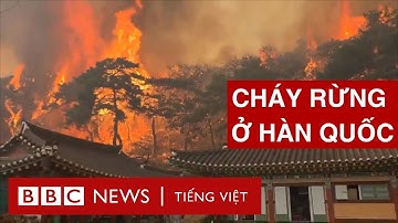 CHÙA PHẬT GIÁO 1.300 NĂM TUỔI BỊ THIÊU RỤI TRONG CHÁY RỪNG Ở HÀN QUỐC