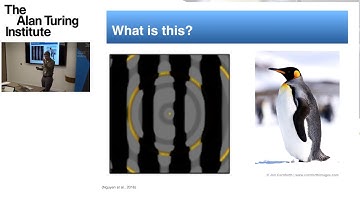 Fellow Short Talks: Professor Brad Love, UCL