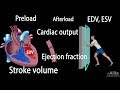 Cardiac output stroke volume edv esv ejection fraction