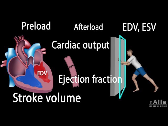 Cardiac Output, Stroke volume, EDV, ESV, Ejection Fraction class=