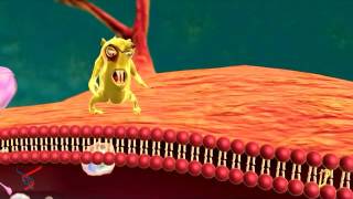Cópia de Immune Response, Toll Like Receptors TLR Pathway IMGENEX