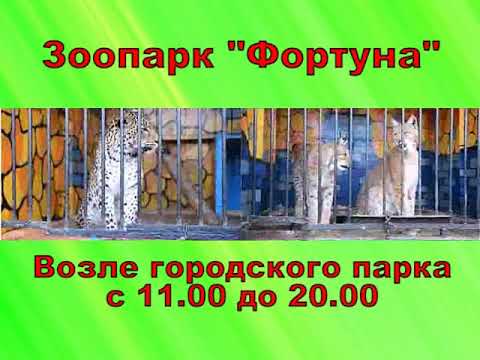 Зоопарк на фортуне Зоопарк на фортуне