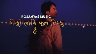 Download Lagu Timro lagi ful tipxu hai/TikTok cover lyrics music MP3