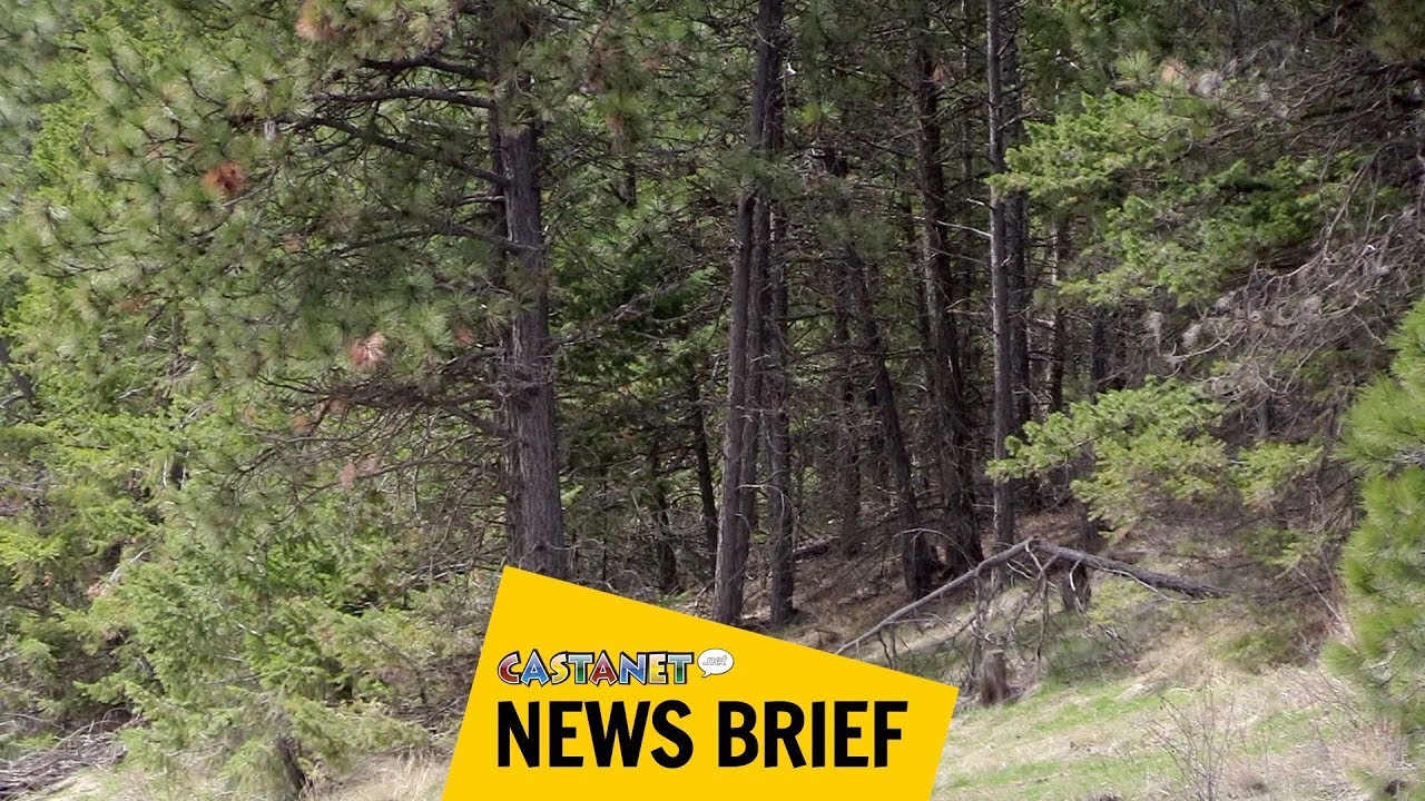 Missing man found dead - YouTube