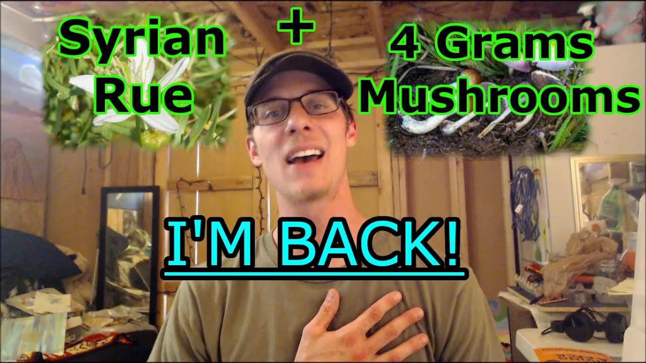 4 Grams of Mushrooms + Syrian Rue Experience | I'm Back! & Livestream Updates