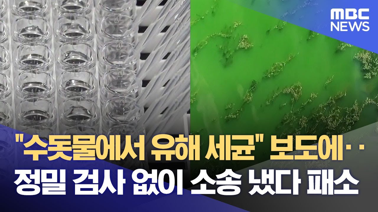 국립환경과학원의 무리한 소송‥녹조 위험성 축소하기 위해? (2025.03.16/뉴스데스크/대구MBC)