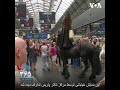 نمایش با اسب که روی صندلی می نشیند نمایش با اسب که روی صندلی می نشیند