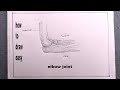 How To Draw Elbow Joint Bones Elbow Joint Drawing 