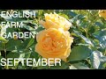 Farms Garden Rose Heather