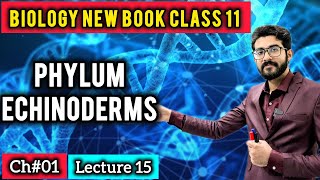 Phylum Echinodermata Class 11 | FSc Biology New Book 2025