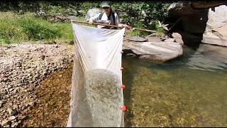 Thousands of Rare Fish in One Net