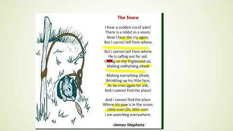 THE SNARE BY JAMES STEPHENS