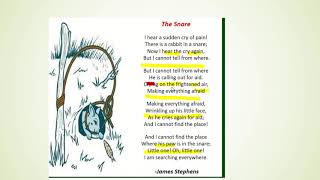 THE SNARE BY JAMES STEPHENS