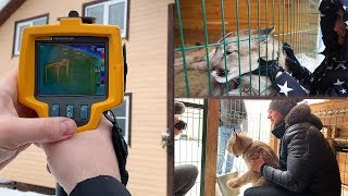 СКОЛЬКО СТОИТ МОЙ ДОМ/ гости и большие кошки СКОЛЬКО СТОИТ МОЙ ДОМ/ гости и большие кошки