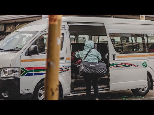 Dali (Sjava) - LordPercival SA