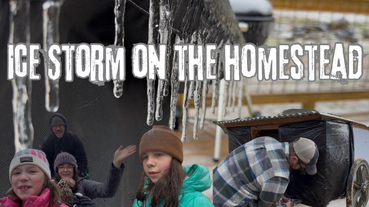 Ice Storm on the Homestead | Our Experience
