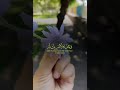 ذكر من اذكار الصباح والمساء 
