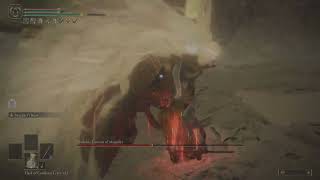 Pike + Braggart's Roar | no hit | Consort Radahn - Shadow of the Erdtree Wealth