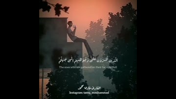 القارئ  طارق محمد / مقاطع قصيرة قرآن كريم/ حالات واتساب دينية