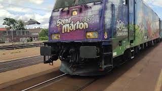 Szent Marton train
