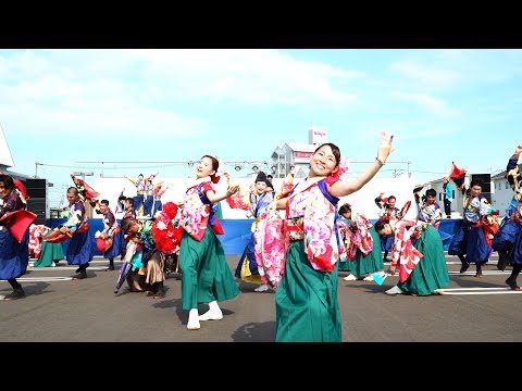 [4K]高松よさこい連　銭形よさこい2017 ステージ会場（中央）