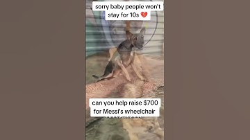 Consider donating any amount helps to save life Donate link in bio #adoptstrays #pets and